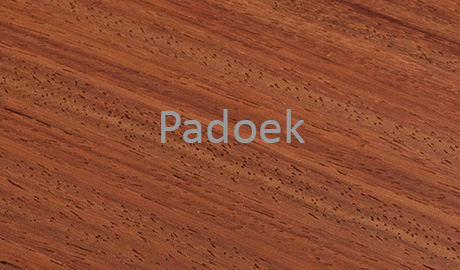 Padoek