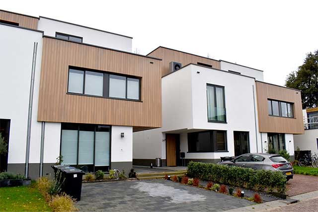 Yellow Cedar Rotterdam