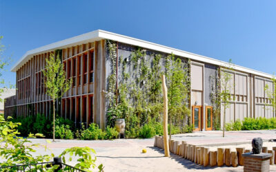 Brede school – Beesd